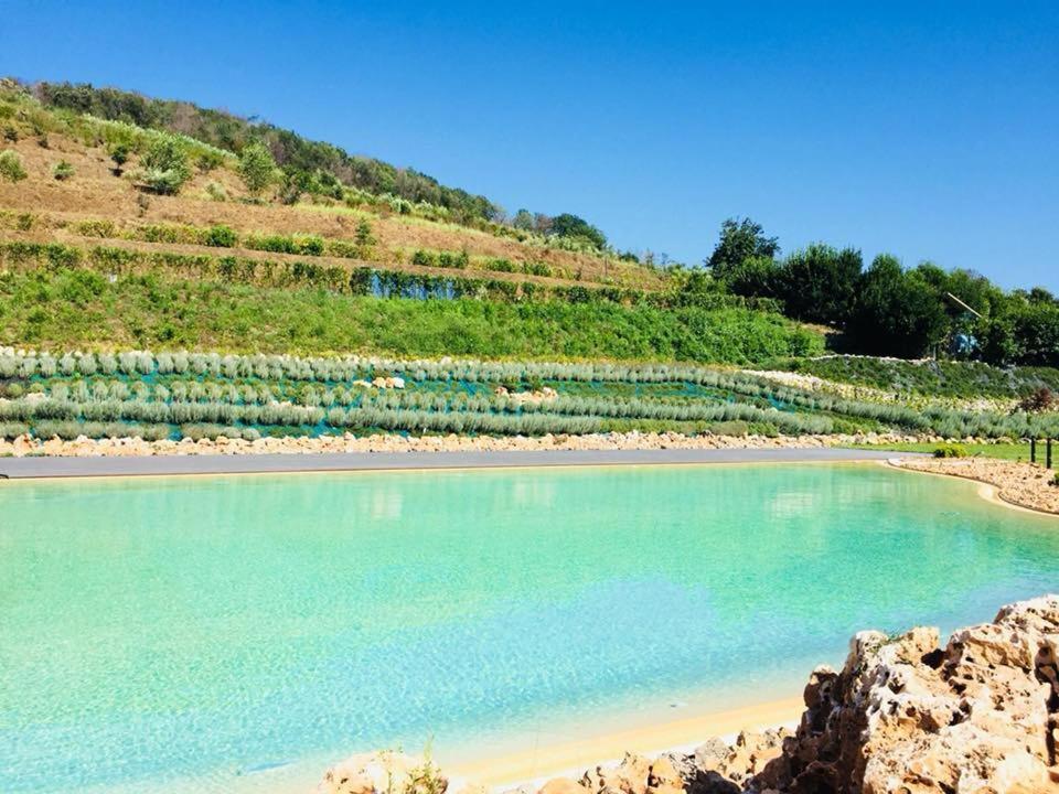 Agriturismo San Martino ポッツオーリ エクステリア 写真