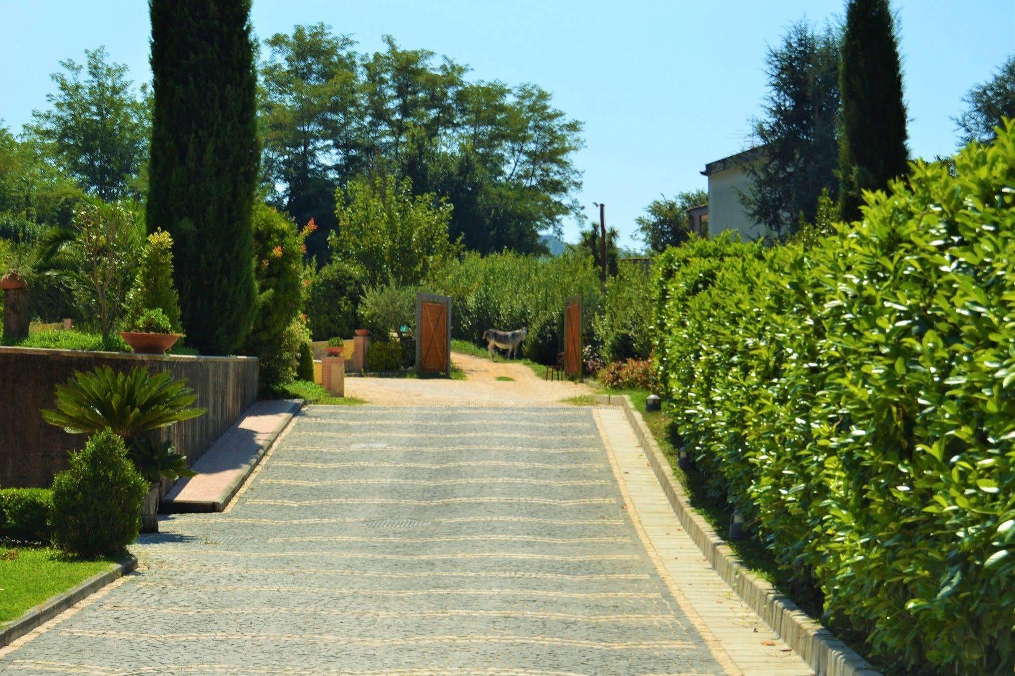 Agriturismo San Martino ポッツオーリ エクステリア 写真